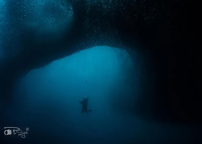 Lodge Divers *
